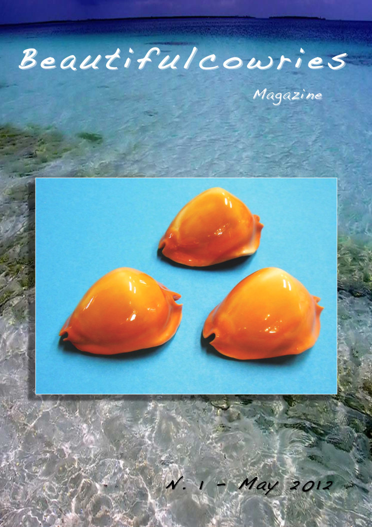 Beautifulcowries Magazine, cover of Issue No. 1