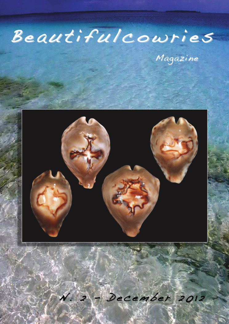 Beautifulcowries Magazine, cover of Issue No. 2