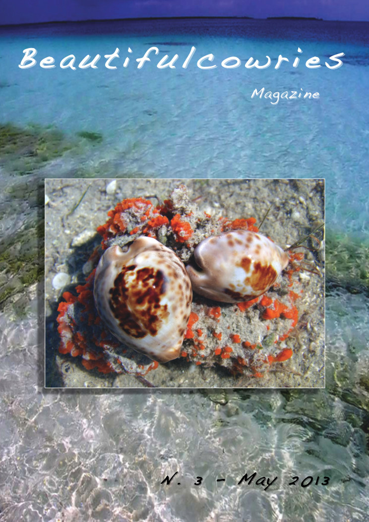 Beautifulcowries Magazine, cover of Issue No. 3
