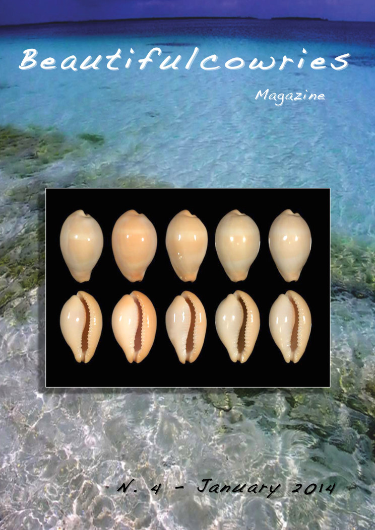 Beautifulcowries Magazine, cover of Issue No. 4