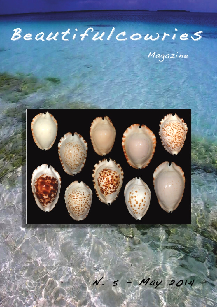 Beautifulcowries Magazine, cover of Issue No. 5