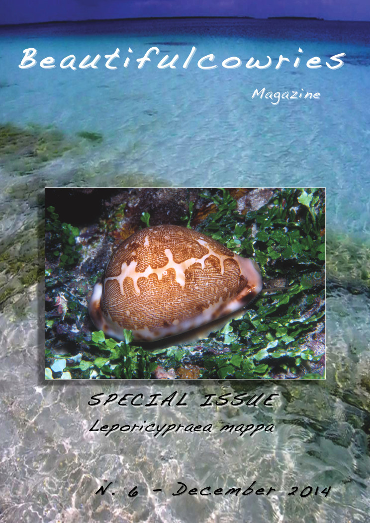 Beautifulcowries Magazine, cover of Issue No. 6 (special issue on Leporicypraea mappa)