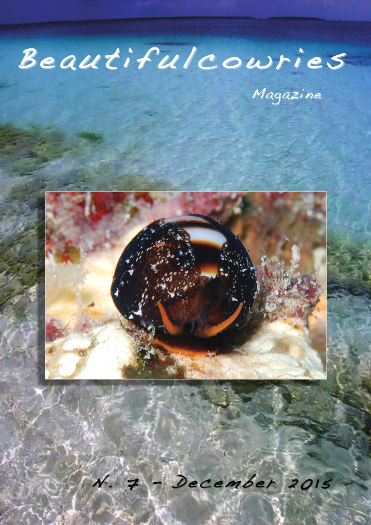 Beautifulcowries Magazine, cover of Issue No. 7