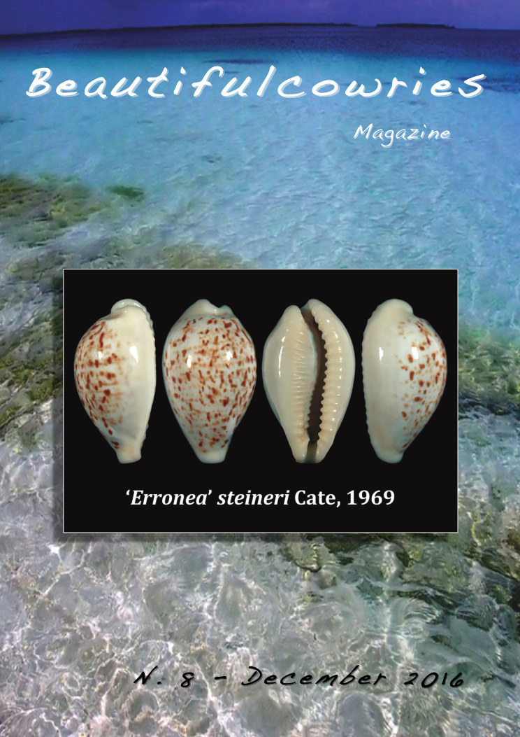 Beautifulcowries Magazine, cover of Issue No. 8