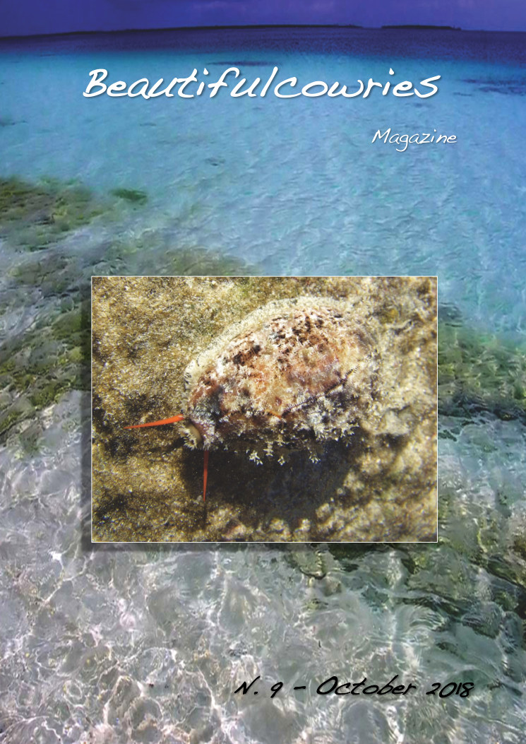 Beautifulcowries Magazine, cover of Issue No. 9