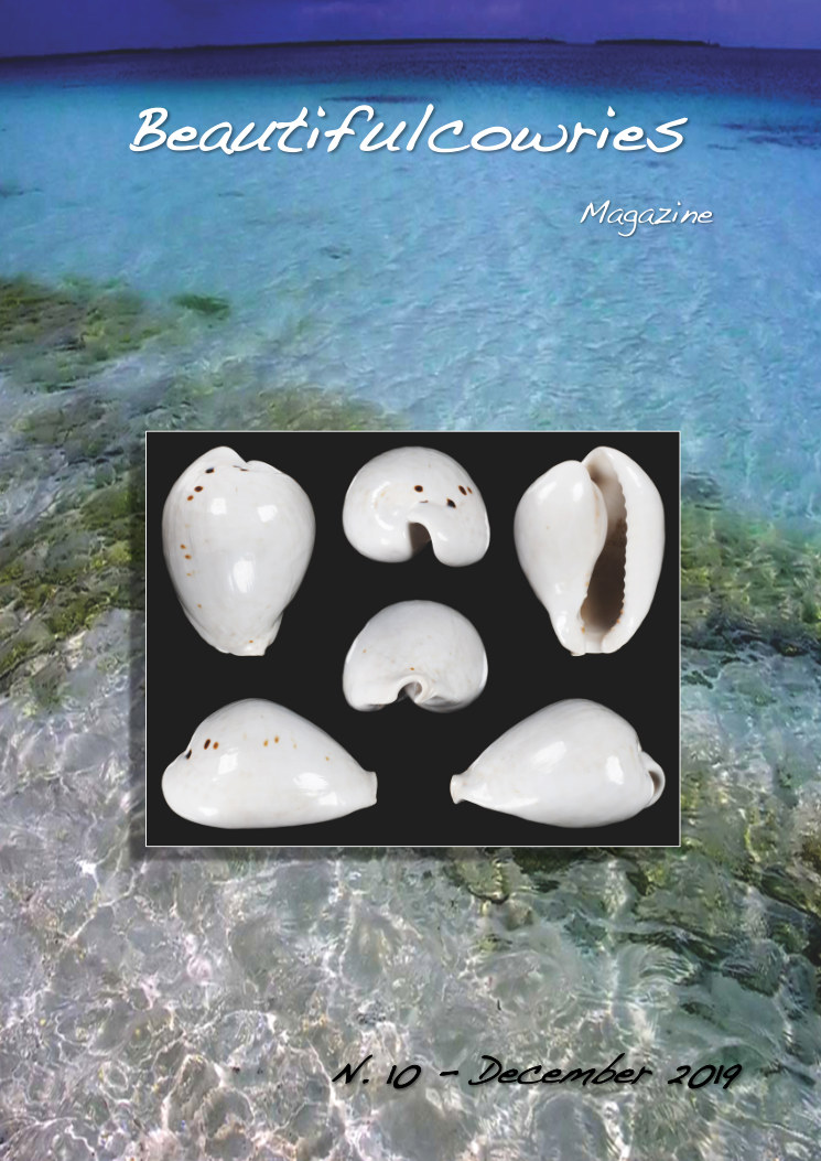 Beautifulcowries Magazine, cover of Issue No. 10