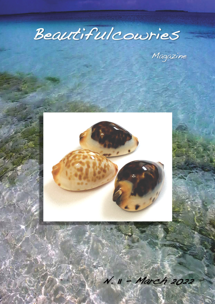 Beautifulcowries Magazine, cover of Issue No. 11