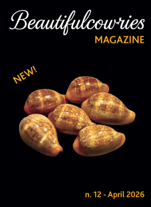 Beautifulcowries Magazine, cover of Issue No. 12