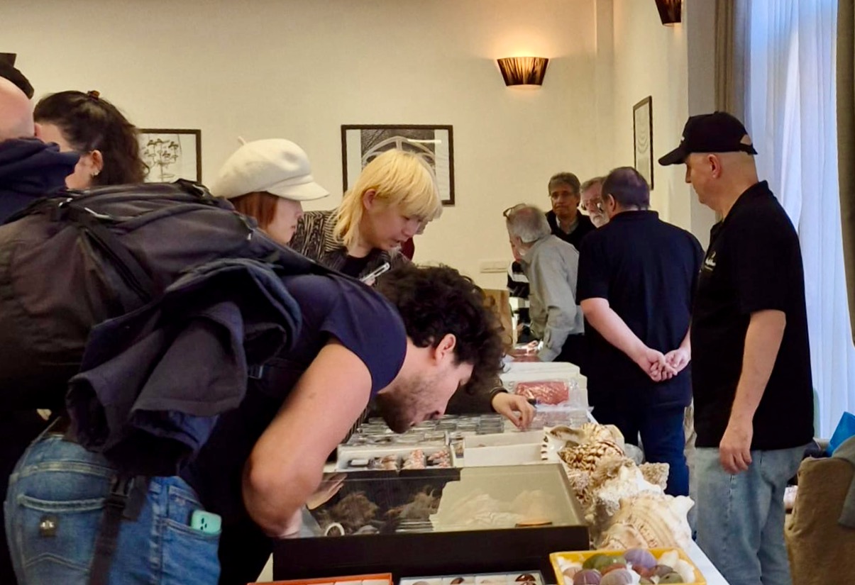 Prato Shell Show 8-9 November 2025