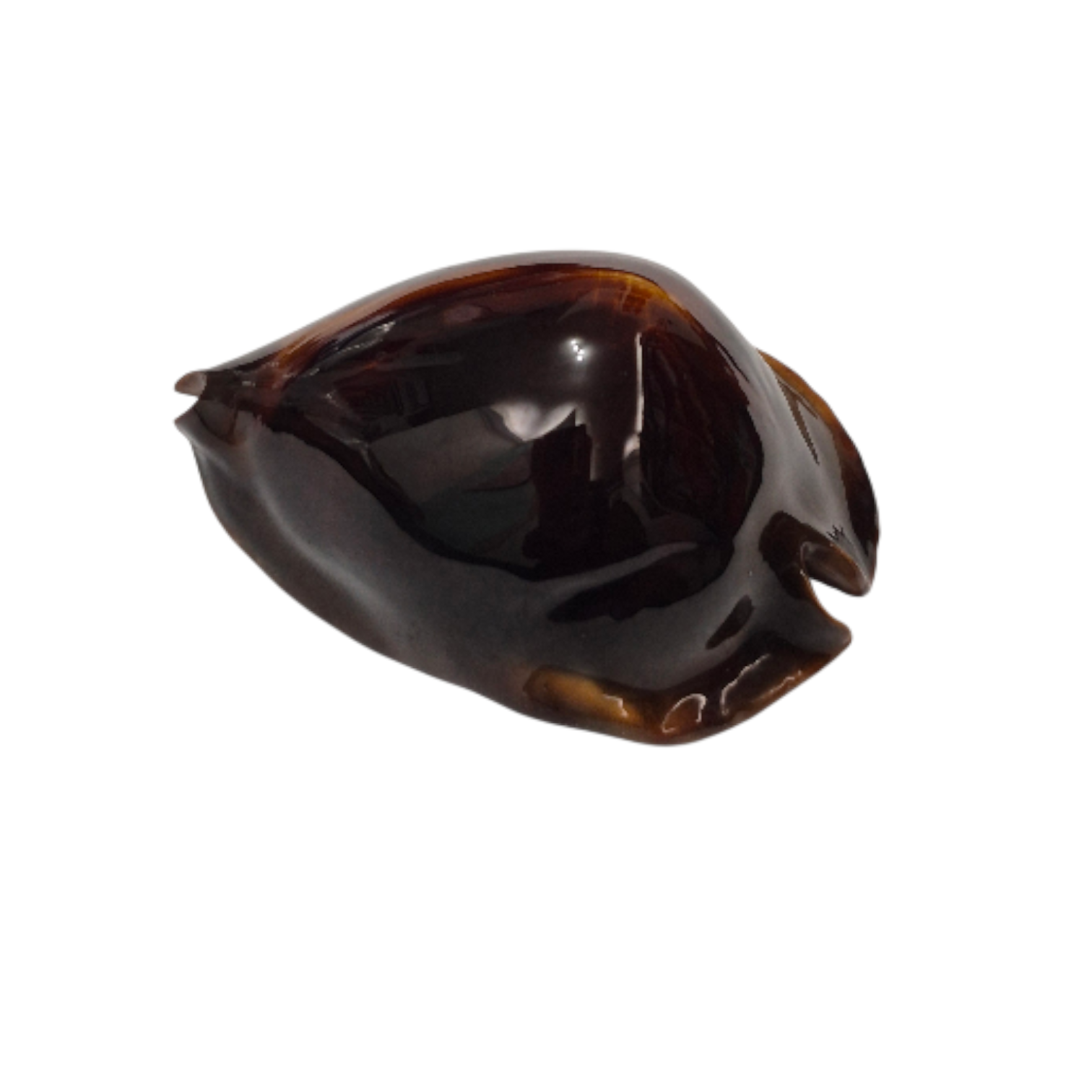 BC246 Zoila rosselli satiata - GOOD SIZE - Image 3