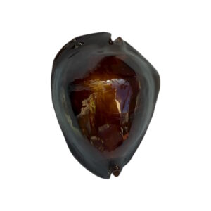 BC103 Zoila rosselli satiata - BERNIER FORM