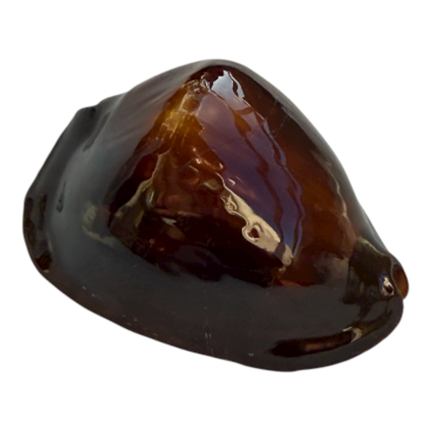 BC103 Zoila rosselli satiata BERNIER - Image 3