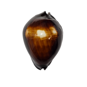 BC364 Zoila rosselli - FALSE ENTRANCE