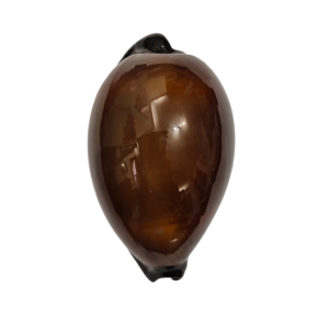 BC384 Talparia exusta - LARGE and HEAVY