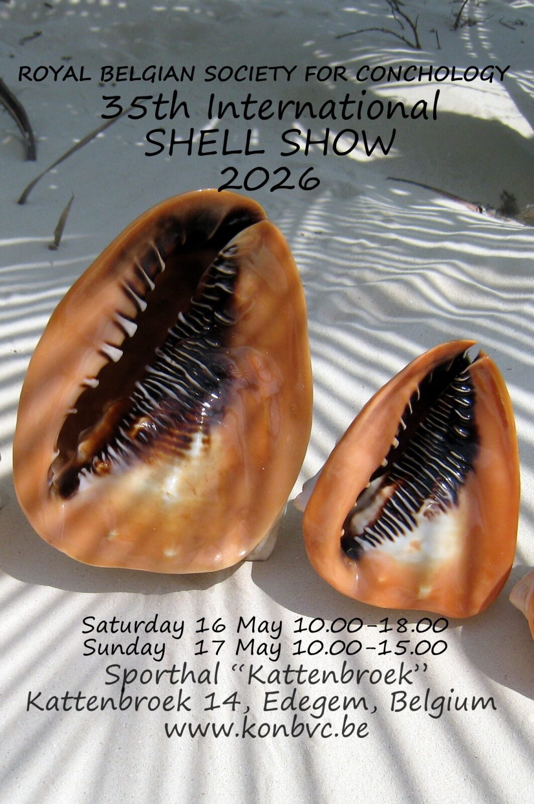 Antwerp Shell Show