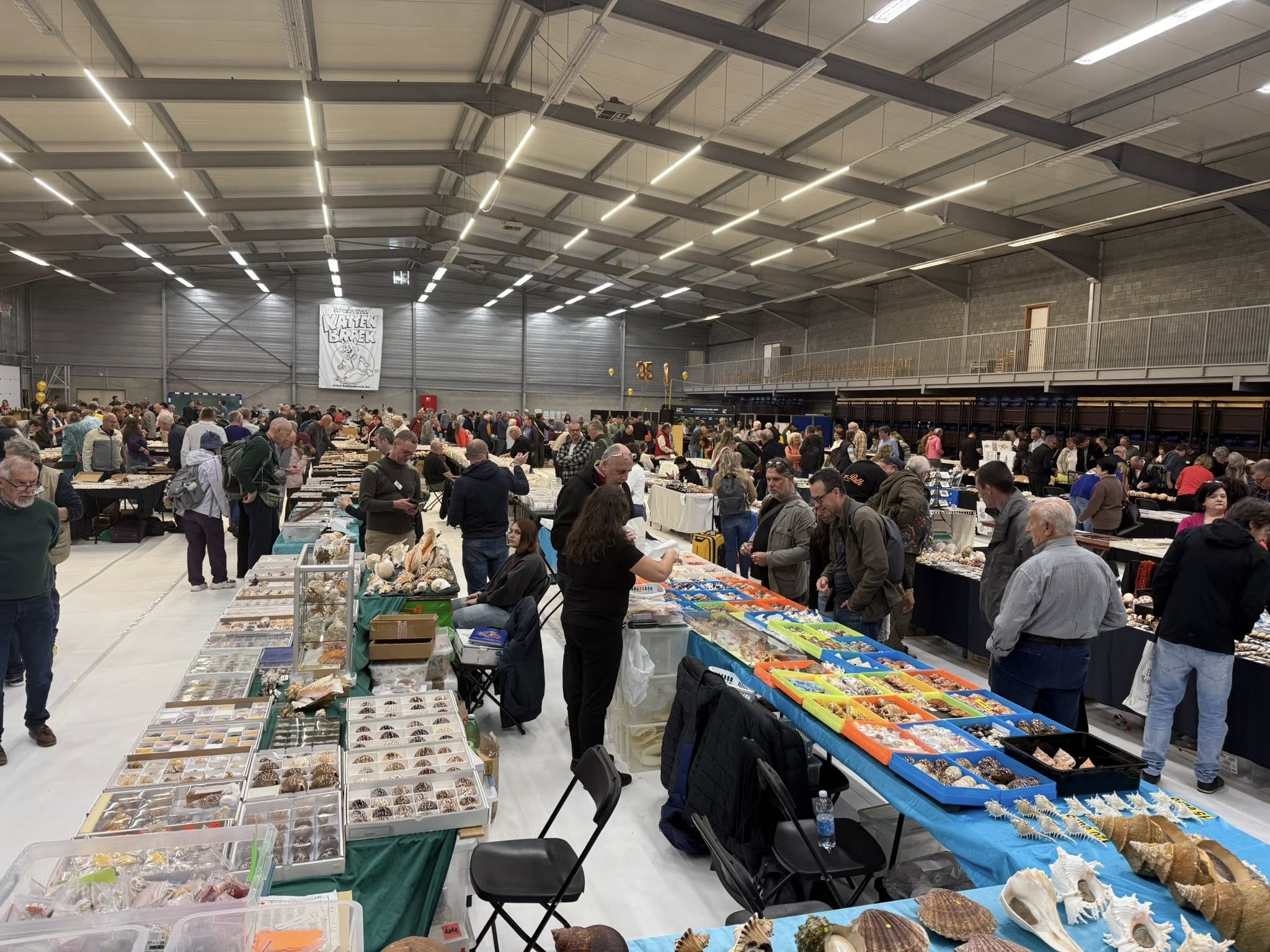 Antwerp Shell Show May 2026