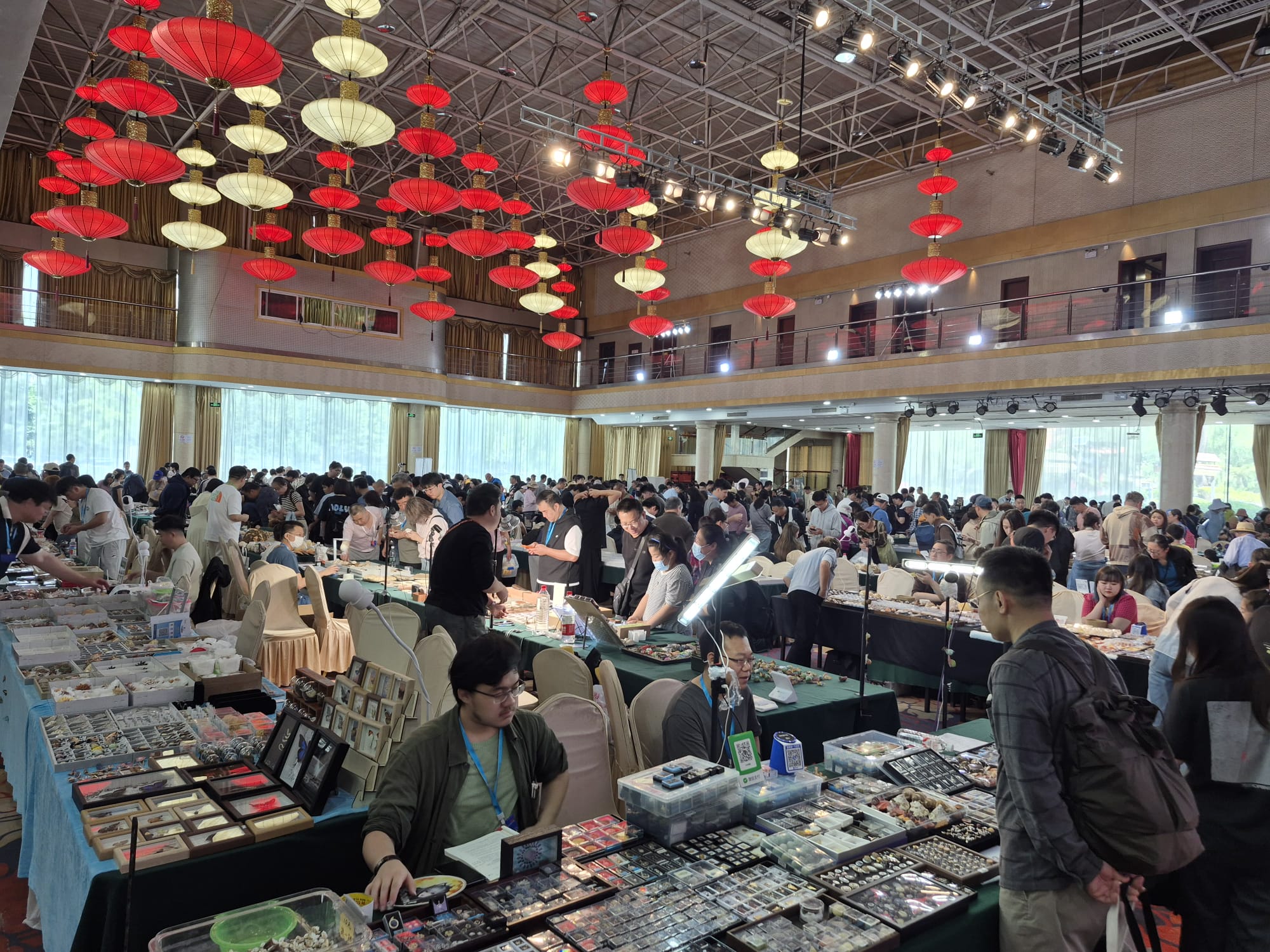 Beijing Shell Show May 2026