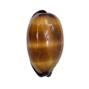 BC540 Talparia talpa - XL from HAWAII
