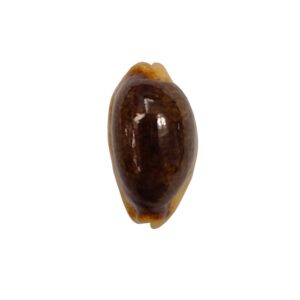 BC454 Erronea errones - NIGER from NEW CALEDONIA